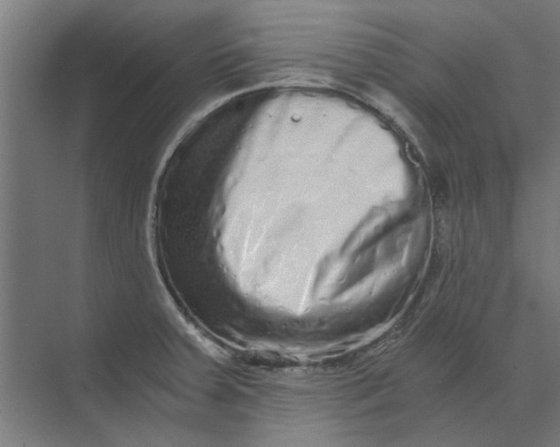 X0000073701379200608241406