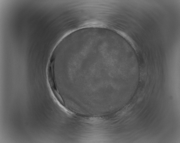 X0000073701383200608241406