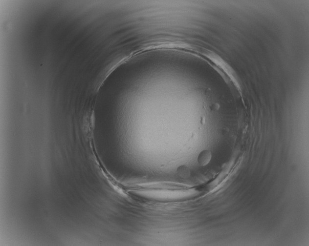 X0000073701385200608241406