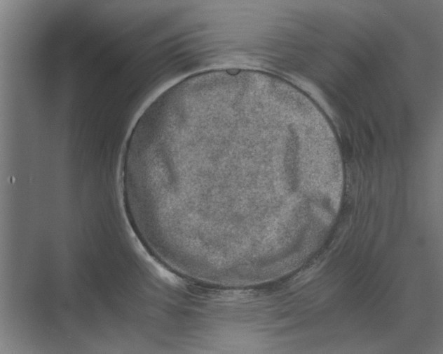 X0000073701387200608241406