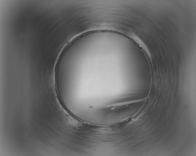 X0000073701388200608241406