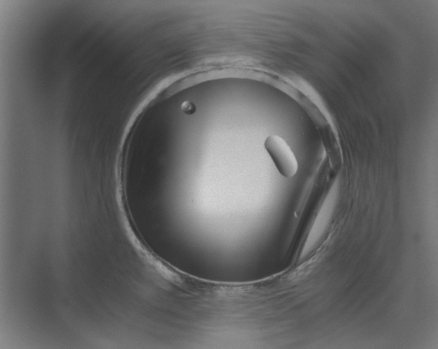 X0000073701389200608241406