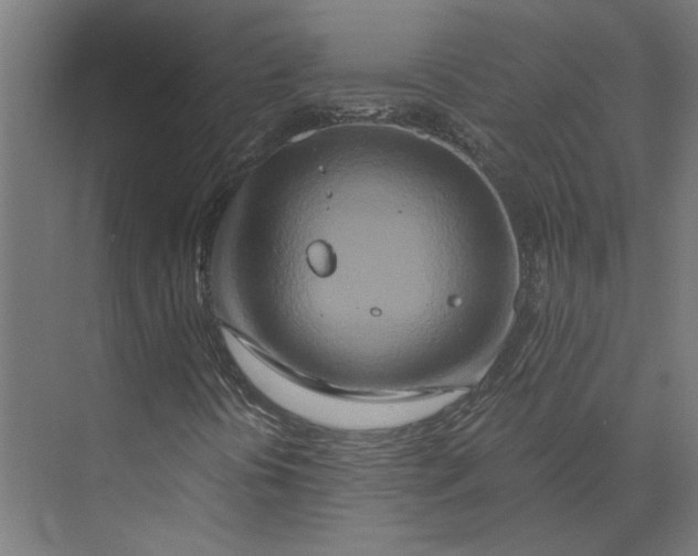 X0000073701394200608241405