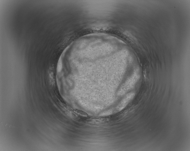 X0000073701396200608241405