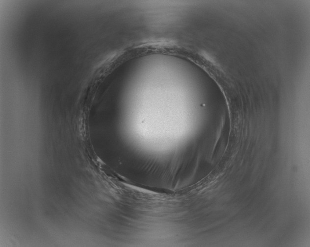 X0000073701398200608241405