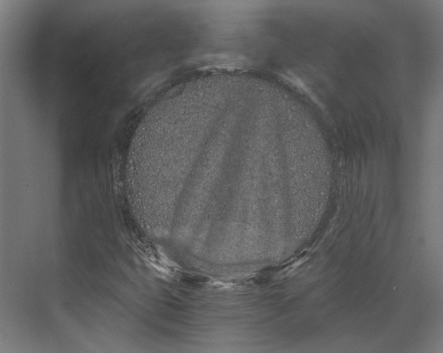 X0000073701399200608241405