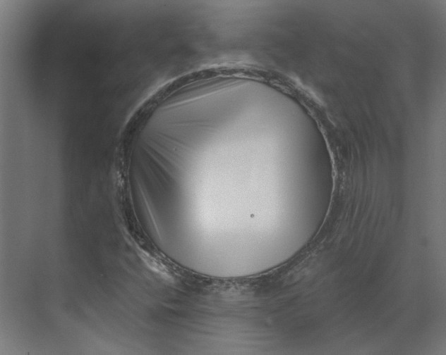 X0000073701400200608241405