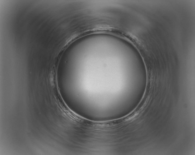 X0000073701401200608241405