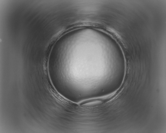 X0000073701403200608241405