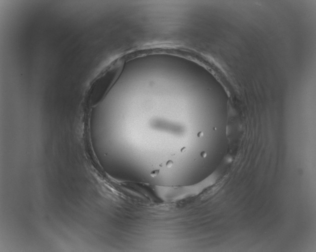 X0000073701406200608241405