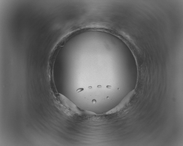 X0000073701408200608241405