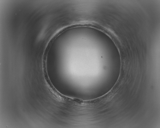 X0000073701412200608241405