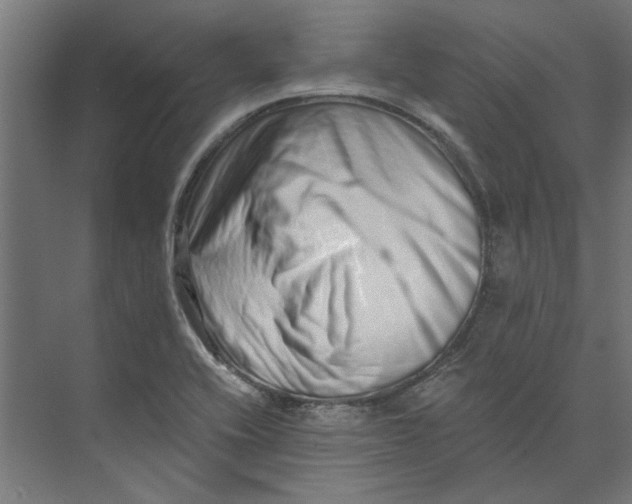 X0000073701416200608241405