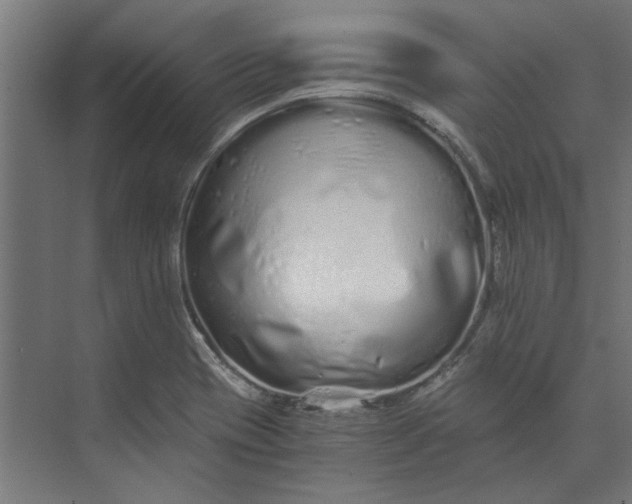 X0000073701417200608241405