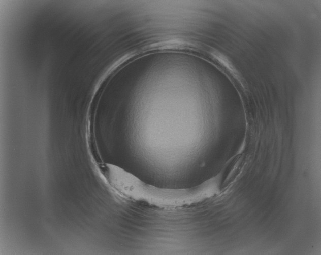 X0000073701418200608241405