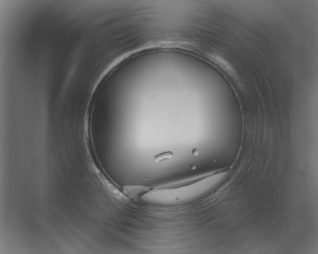 X0000073701420200608241405