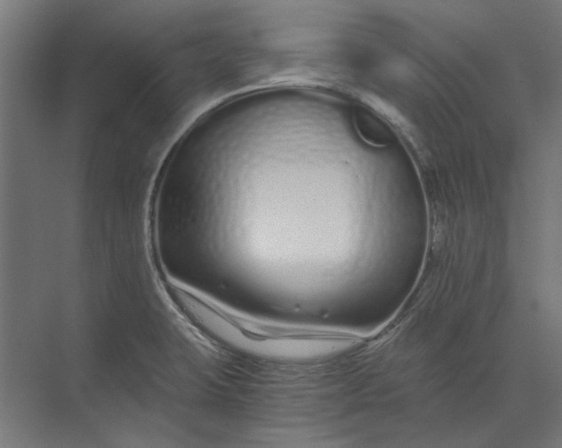 X0000073701423200608241405