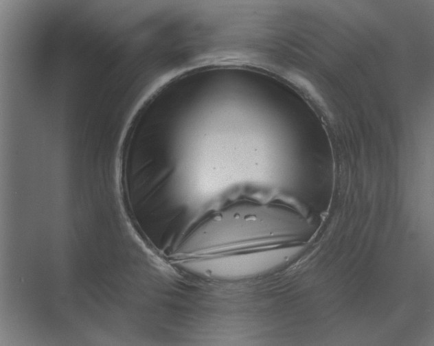 X0000073701424200608241405