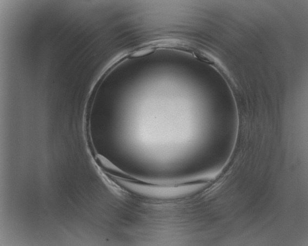 X0000073701426200608241405