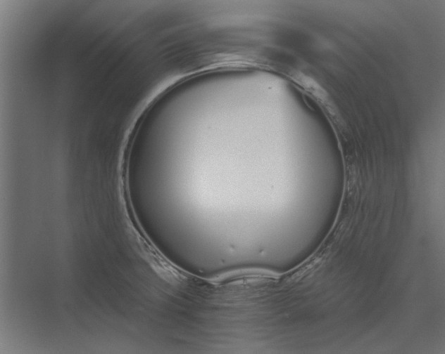 X0000073701427200608241405