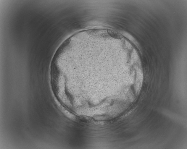 X0000073701431200608241405