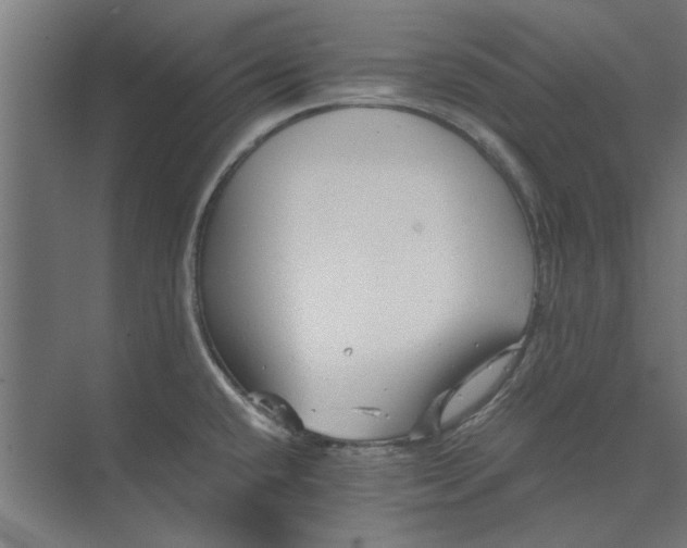 X0000073701432200608241405