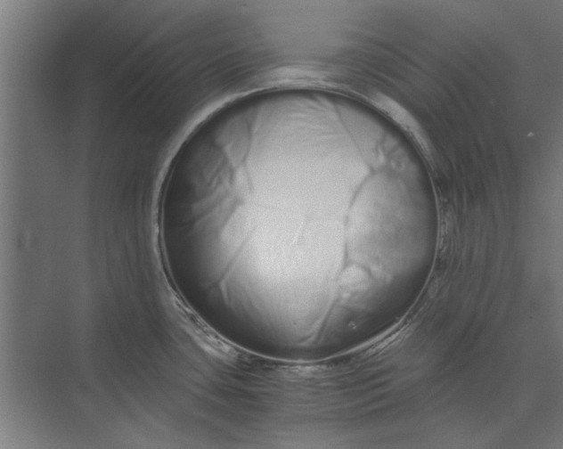 X0000073701435200608241405