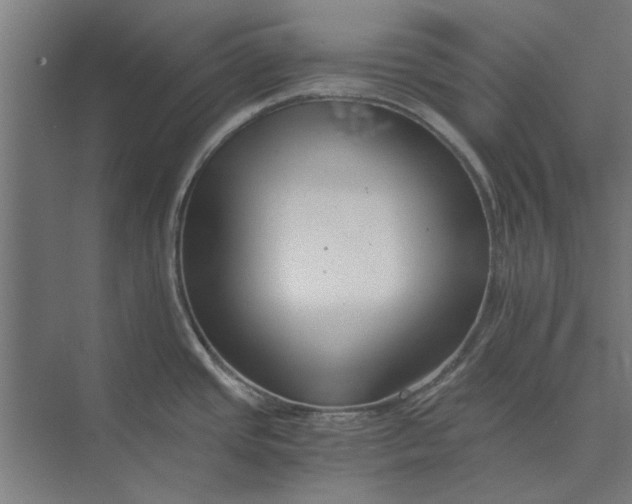 X0000073701437200608241406