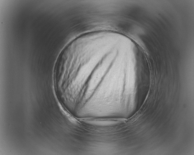 X0000073701439200608241406