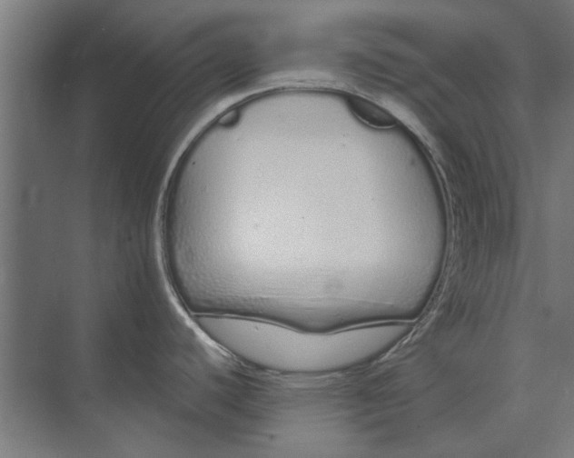 X0000073701440200608241406