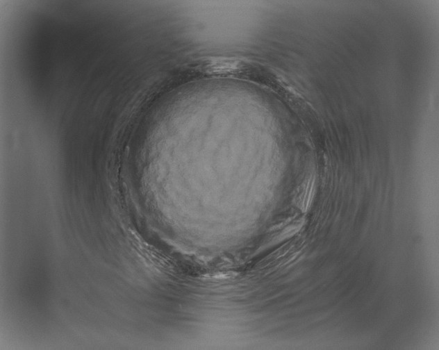 X0000073701441200608241405