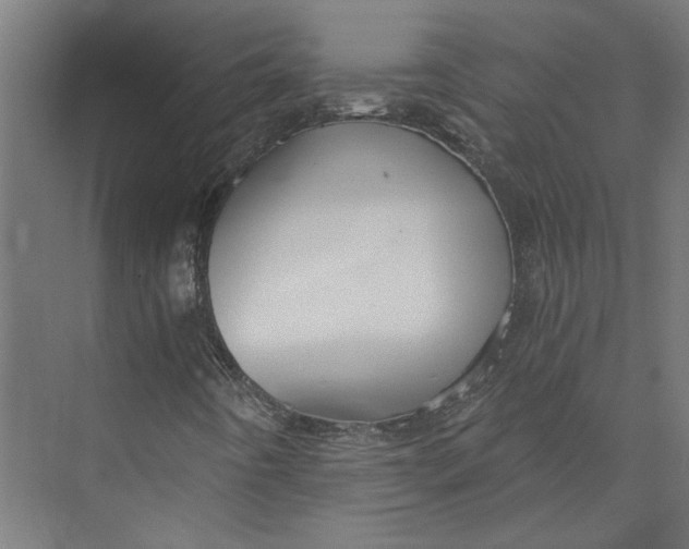 X0000073701442200608241405