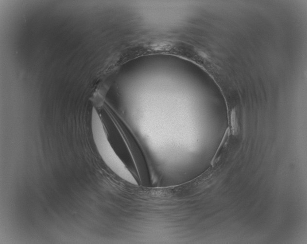 X0000073701443200608241405