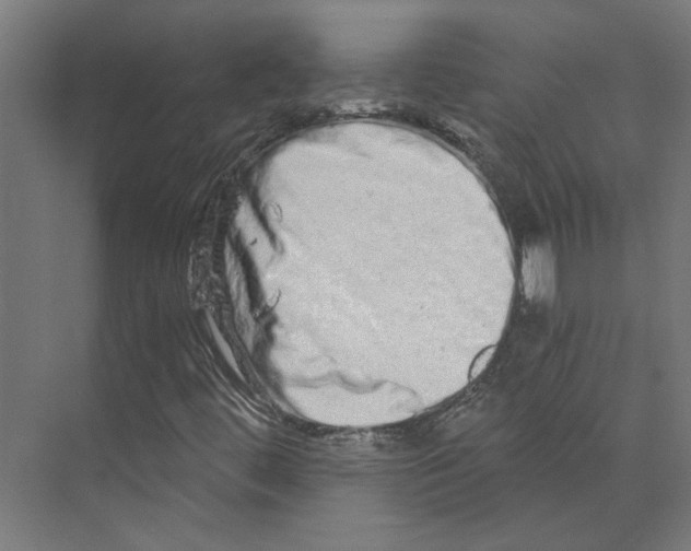 X0000073701444200608241405