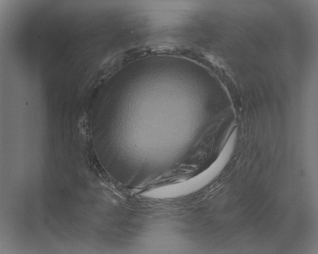 X0000073701445200608241405