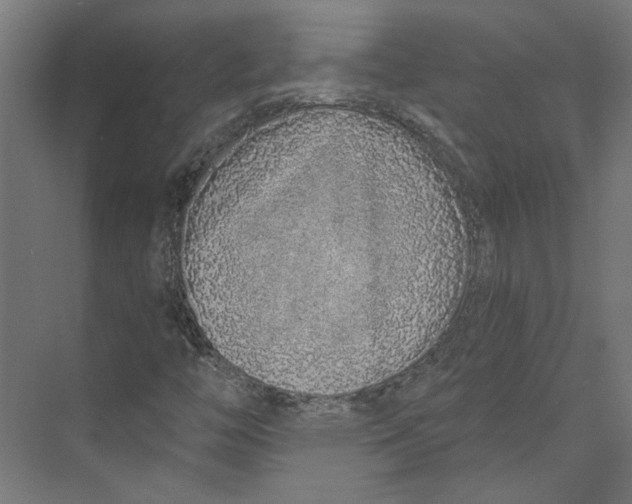 X0000073701446200608241405