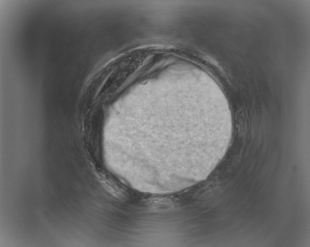 X0000073701448200608241405