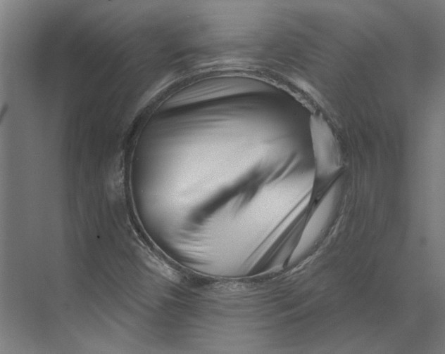 X0000073701450200608241405