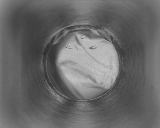 X0000073701452200608241405