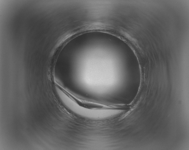 X0000073701453200608241405