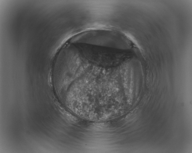 X0000073701455200608241405