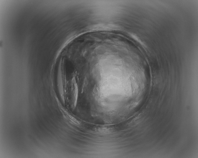 X0000073701459200608241404