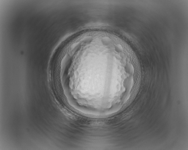 X0000073701462200608241404