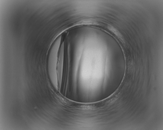 X0000073701465200608241404