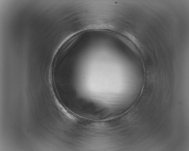 X0000073701468200608241404