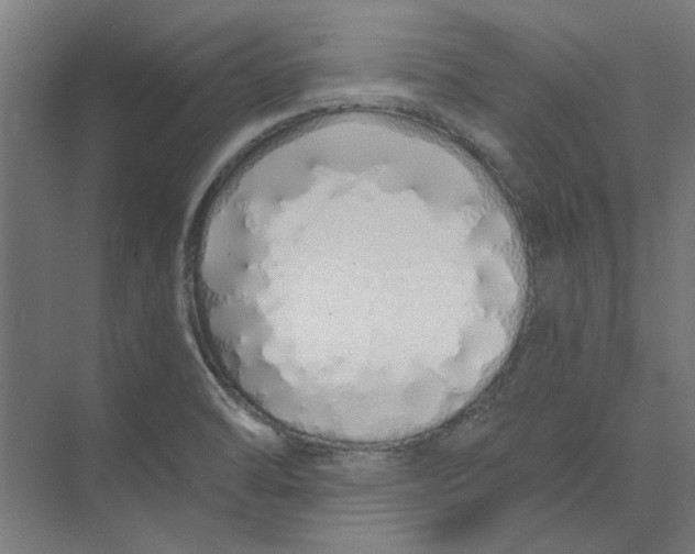 X0000073701470200608241404