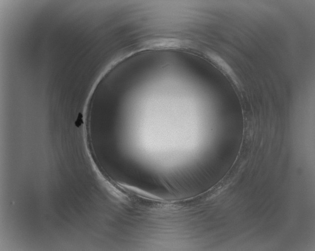 X0000073701475200608241404