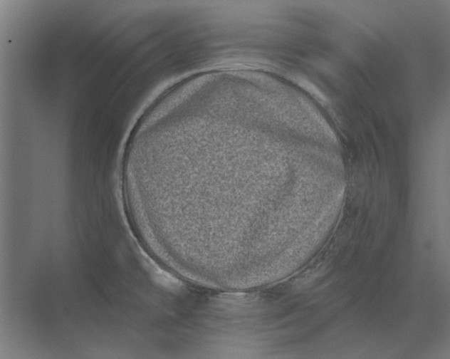 X0000073701478200608241404