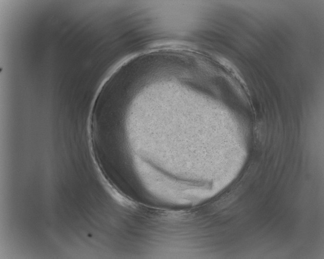 X0000073701482200608241404