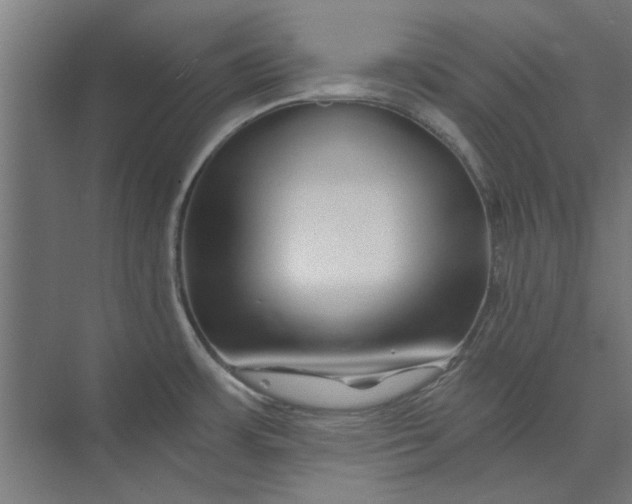 X0000073701483200608241404